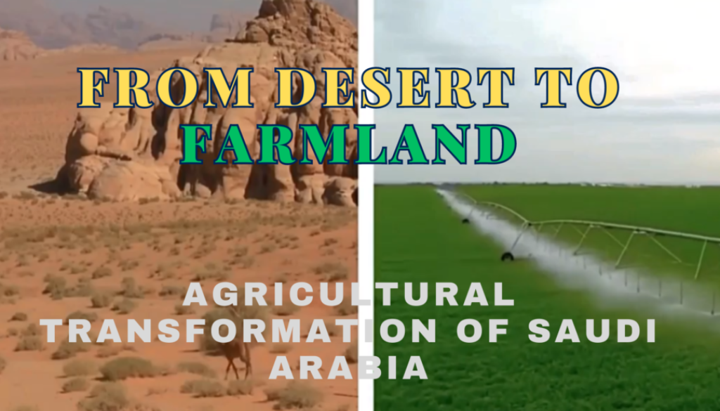 From Desert to Farmland: The Remarkable Agricultural Transformation of Saudi Arabia