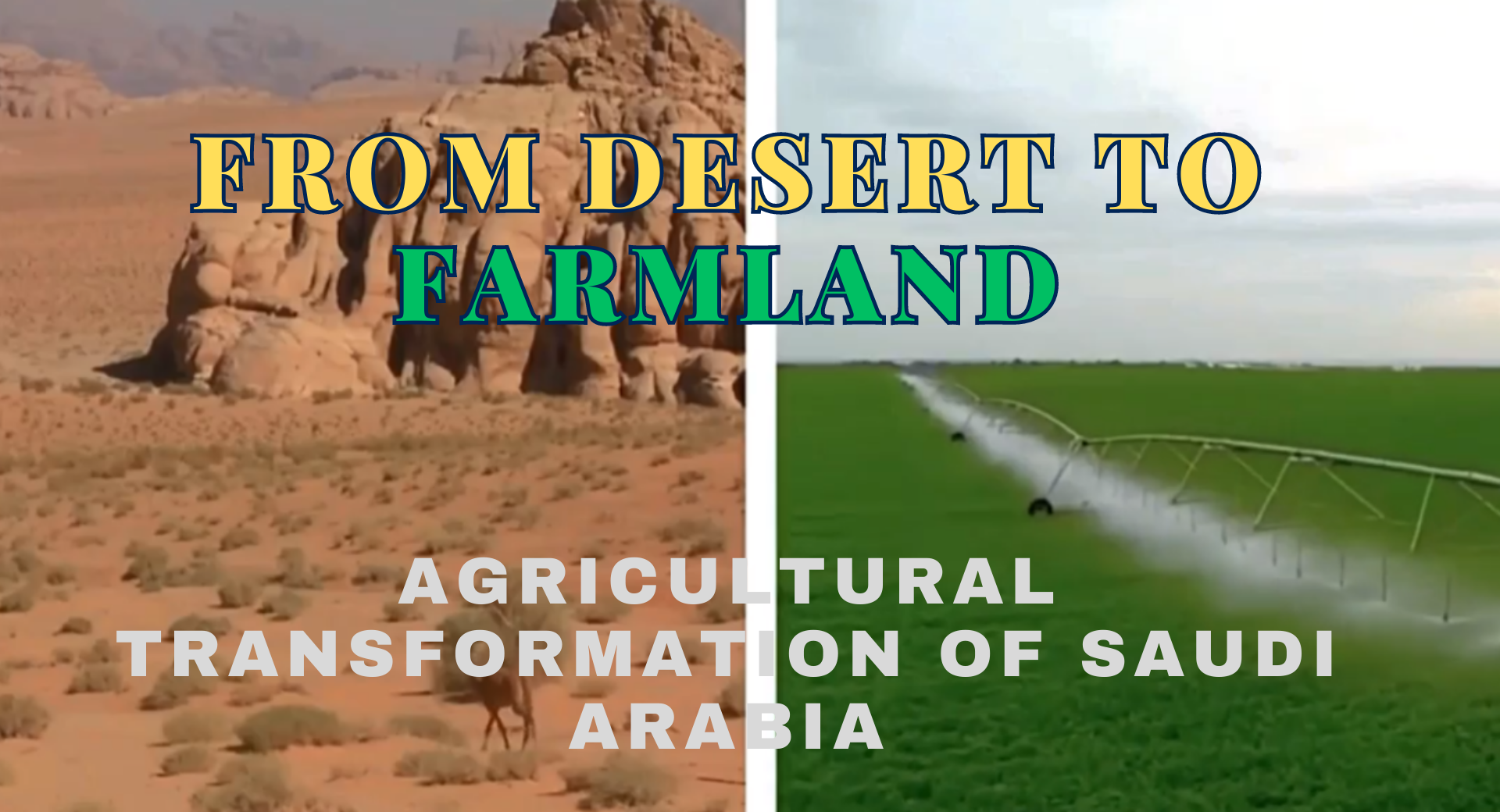 From Desert to Farmland: The Remarkable Agricultural Transformation of Saudi Arabia