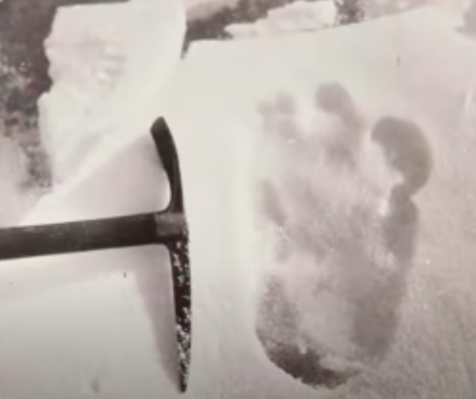 One of the photographs capturing the supposed Yeti footprints was taken by Eric Shipton during his 1951 expedition on Mount Everest.