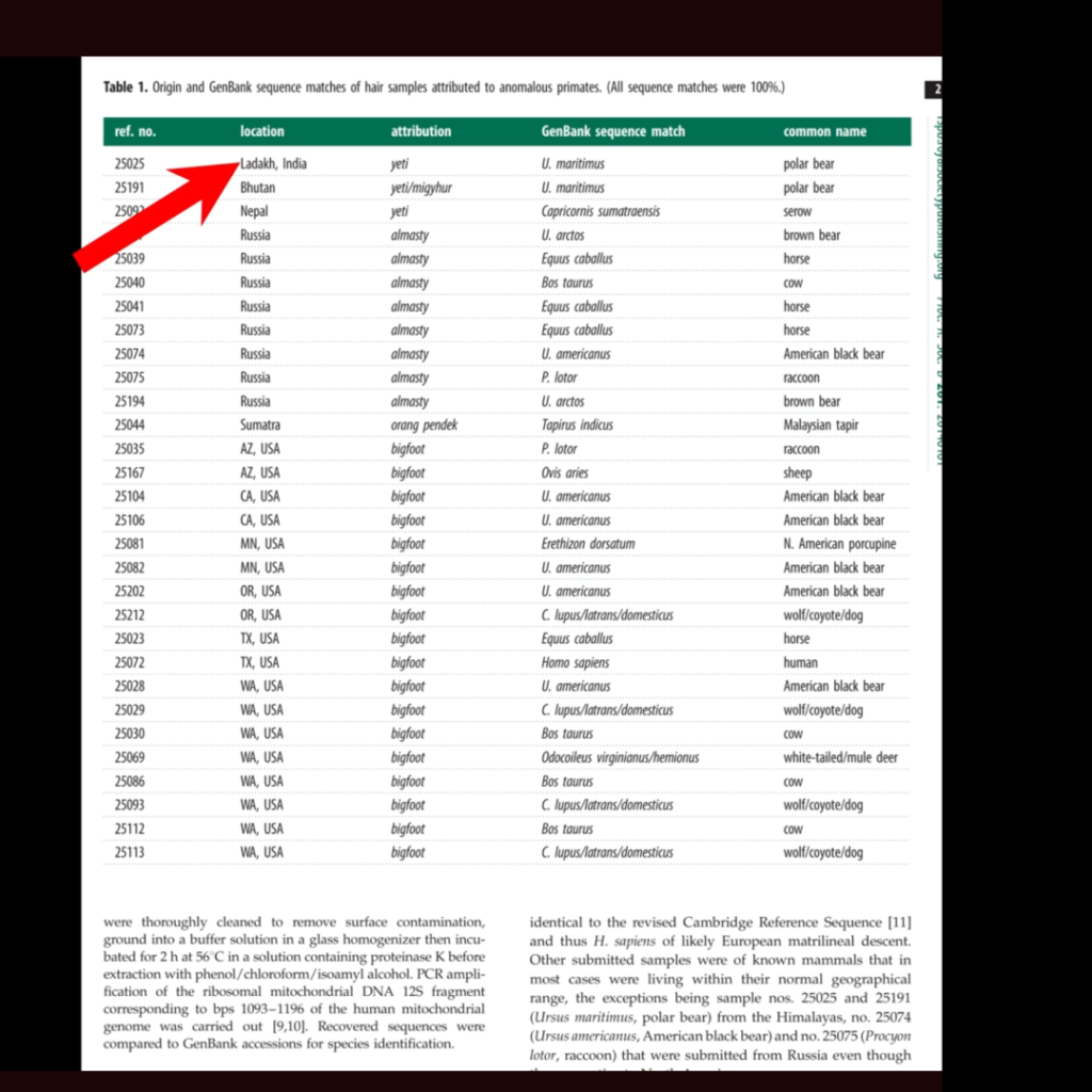 Origin and GenBank sequence matches of hair samples attributed to anomalous primates. (All sequence matches were 100%.)